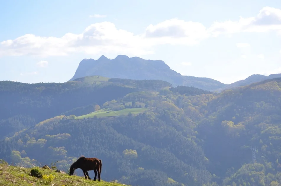Le_mont_calvaire_pays_basque_les_3_couronnes