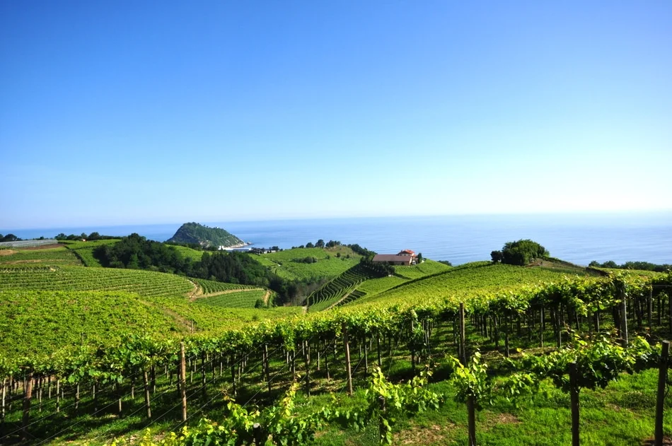 Vins_Txakoli_Getaria