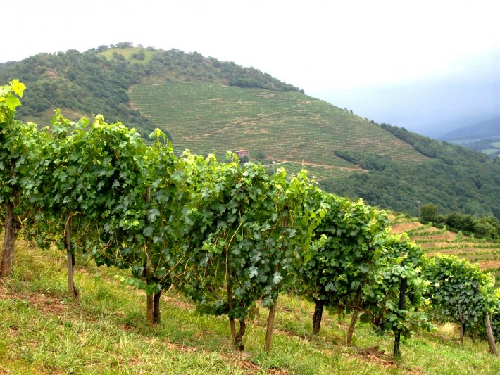bouts-terrasses-et-arradoy-pays-basque