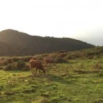 hondarribia-ville-frontaliere-pays-basque