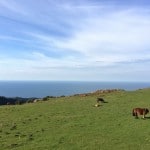 hondarribia-ville-frontaliere-pays-basque-vue-panoramique-chevaux