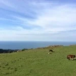 hondarribia-ville-frontaliere-pays-basque-vue-panoramique-chevaux