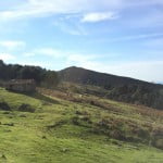 hondarribia-ville-frontaliere-pays-basque-vue-panoramique-chevaux-foret