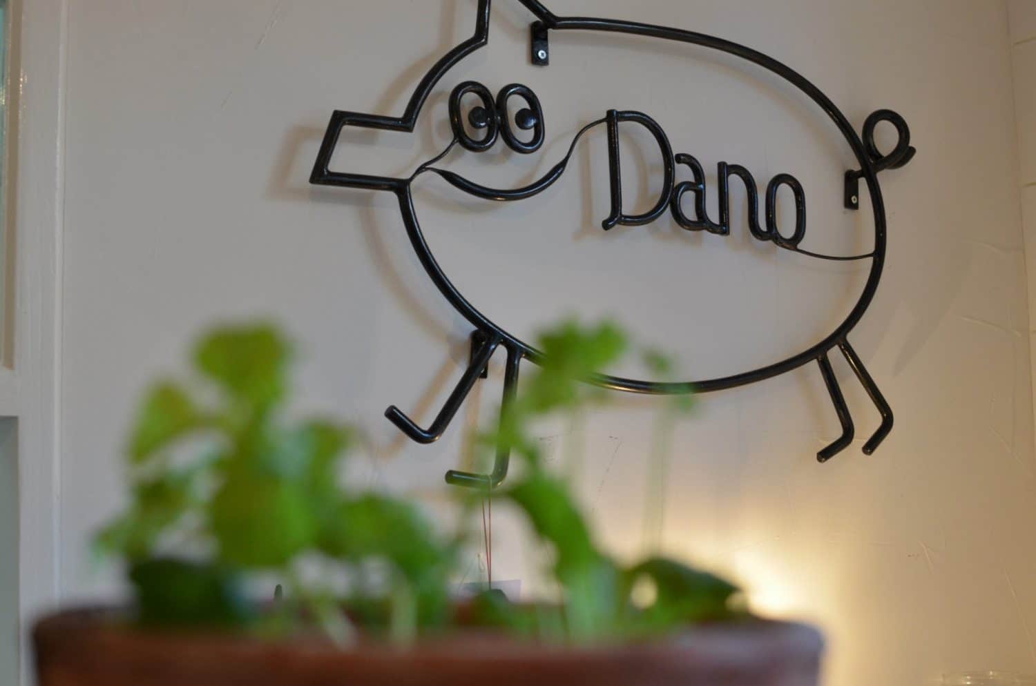 dano-biarritz-cochon-pays-basque