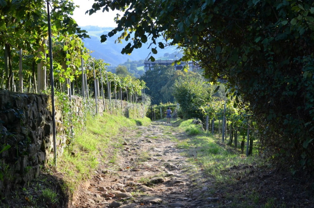 zarautz-journee-paysbasque-randonnee