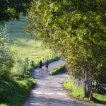 le-mont-adarra-balade-randonnee-pays-basque-chemin
