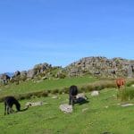 le-mont-adarra-balade-randonnee-pays-basque-pais-vasco