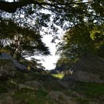 le-mont-adarra-balade-randonnee-pays-basque-sous-les-arbres