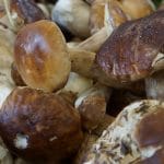 Cepes-marche-Tolosa-pais-vasco