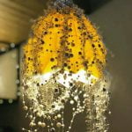 Lumiere-Takatak-Saint-Sebastien-pays-basque