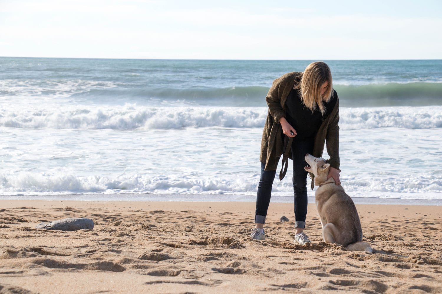 se-balader-avec-son-chien-au-pays-basque